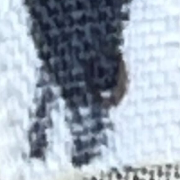 Free People One Million Lovers Lace Mini Dress Burgundy Boho Holiday Party - Picture 9 of 15